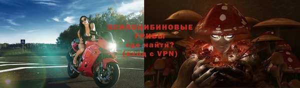 амф Балахна