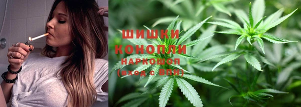 ALPHA PVP Белокуриха