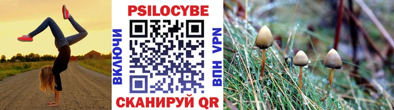 как найти закладки  Верхнеуральск  Псилоцибиновые грибы MAGIC MUSHROOMS 